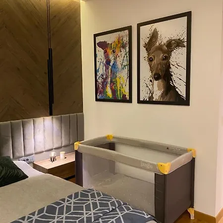 Dom Boutique - Park View Apartament Belgrad