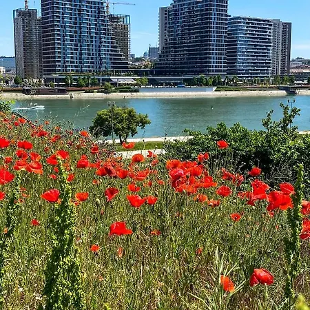 Dom Boutique Park View 아파트 베오그라드