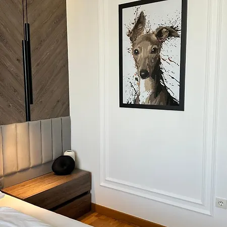 Dom Boutique Park View Apartmán